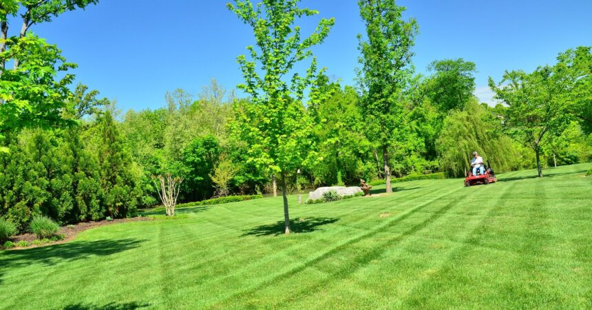lawn-care-643558_1920