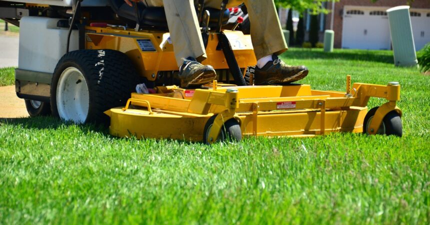 lawn-care-643559_1920